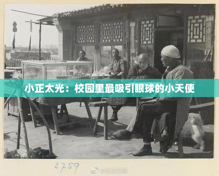 小正太光：校园里最吸引眼球的小天使