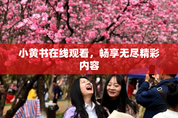 小黄书在线观看，畅享无尽精彩内容