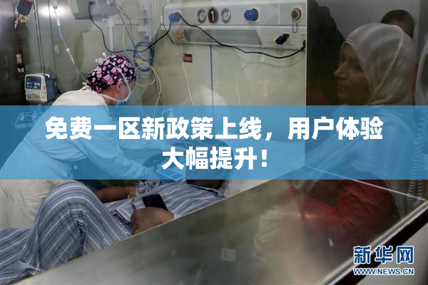 免费一区新政策上线，用户体验大幅提升！
