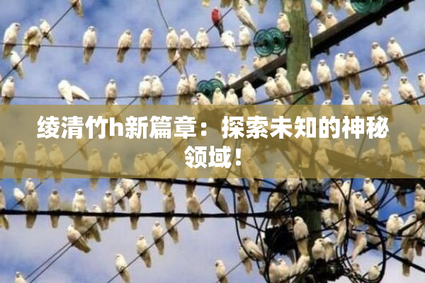 绫清竹h新篇章：探索未知的神秘领域！