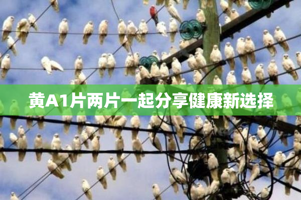 黄A1片两片一起分享健康新选择