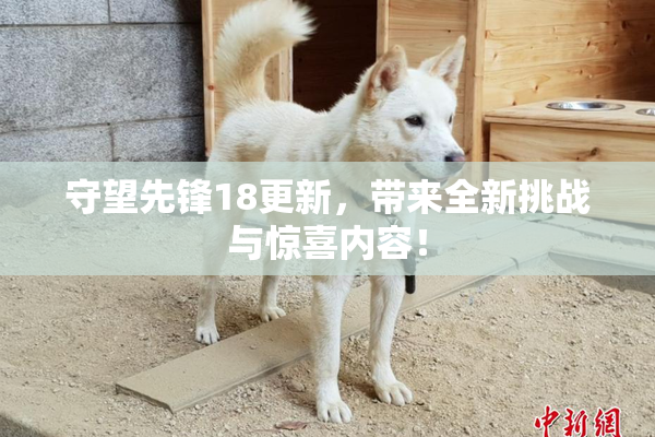 守望先锋18更新，带来全新挑战与惊喜内容！