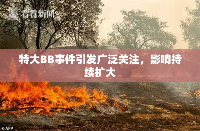 特大BB事件引发广泛关注，影响持续扩大