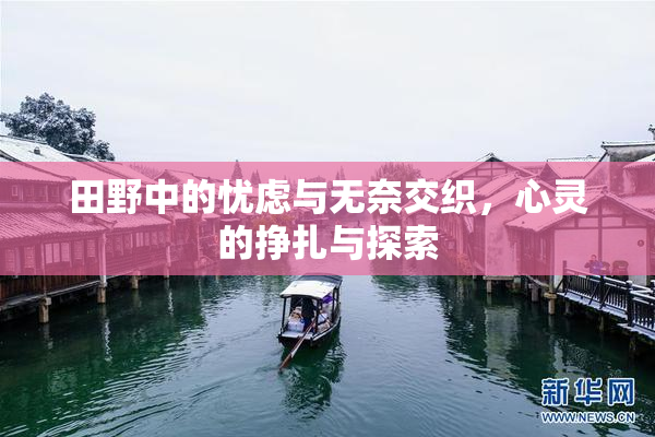 田野中的忧虑与无奈交织，心灵的挣扎与探索