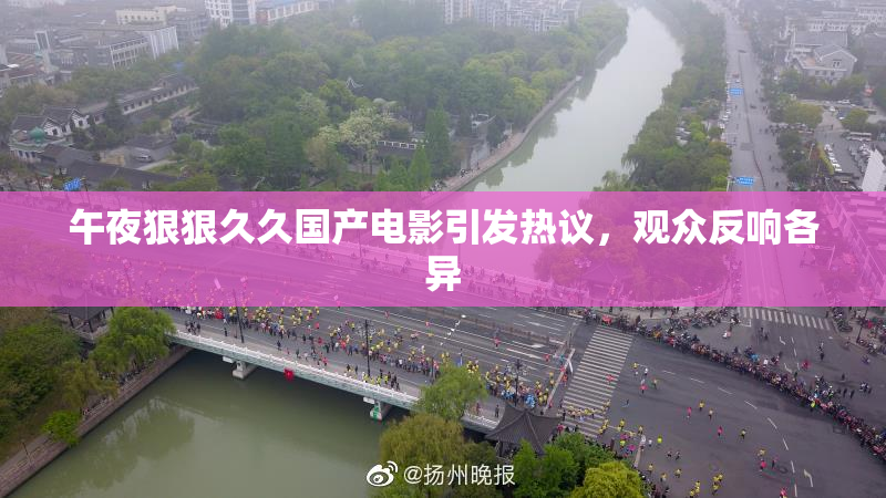 午夜狠狠久久国产电影引发热议，观众反响各异