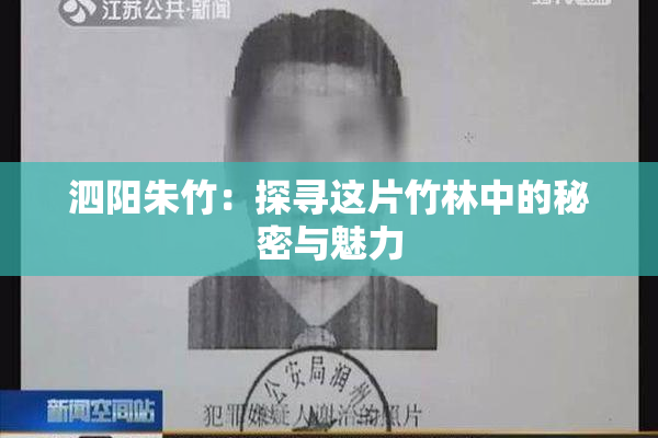 泗阳朱竹：探寻这片竹林中的秘密与魅力