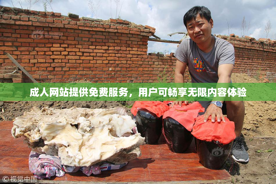 成人网站提供免费服务，用户可畅享无限内容体验
