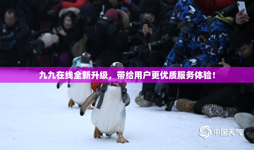 九九在线全新升级，带给用户更优质服务体验！