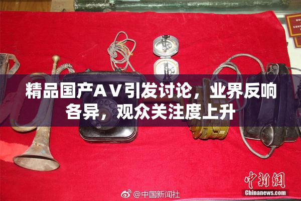 精品国产AⅤ引发讨论，业界反响各异，观众关注度上升