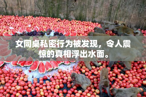 女同桌私密行为被发现，令人震惊的真相浮出水面。