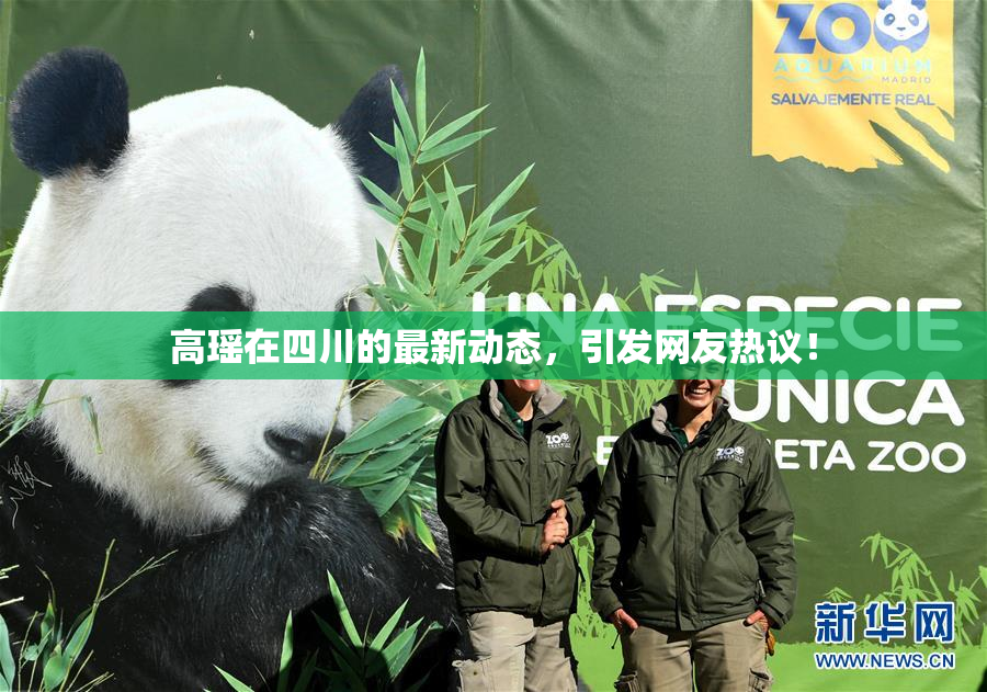 高瑶在四川的最新动态，引发网友热议！