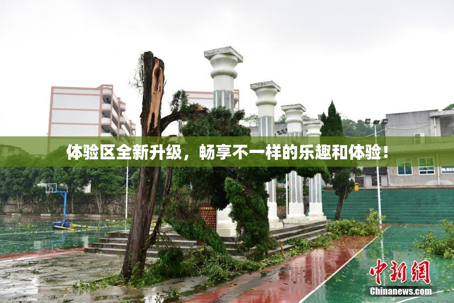 体验区全新升级，畅享不一样的乐趣和体验！