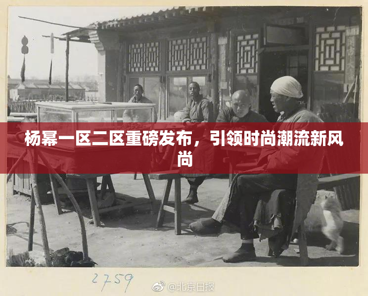 杨幂一区二区重磅发布，引领时尚潮流新风尚