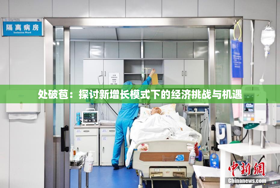 处破苞：探讨新增长模式下的经济挑战与机遇