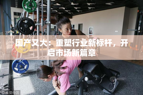 国产又大：重塑行业新标杆，开启市场新篇章