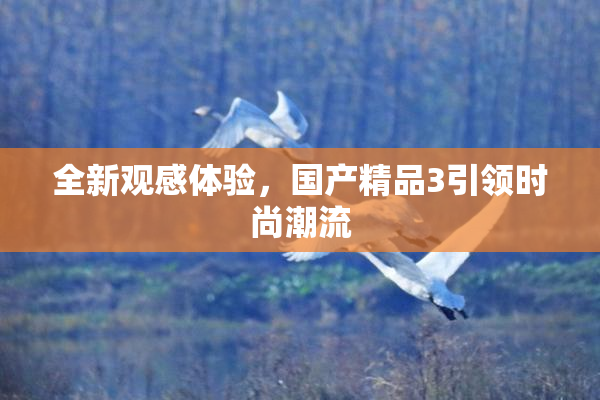 全新观感体验，国产精品3引领时尚潮流