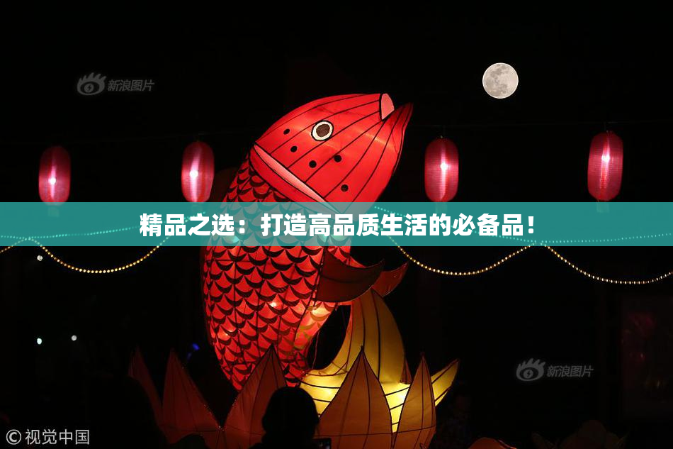 精品之选：打造高品质生活的必备品！
