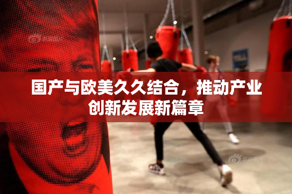 国产与欧美久久结合，推动产业创新发展新篇章