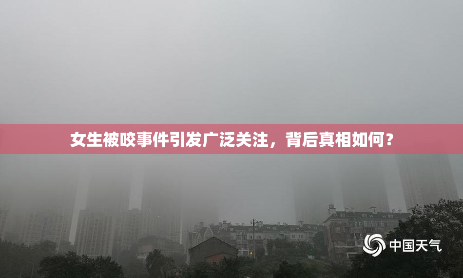 女生被咬事件引发广泛关注，背后真相如何？