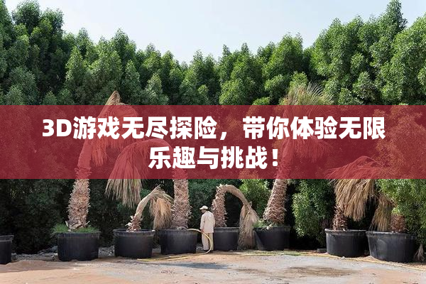3D游戏无尽探险，带你体验无限乐趣与挑战！