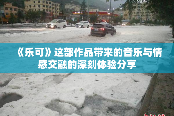 《乐可》这部作品带来的音乐与情感交融的深刻体验分享