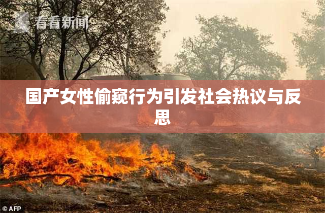 国产女性偷窥行为引发社会热议与反思