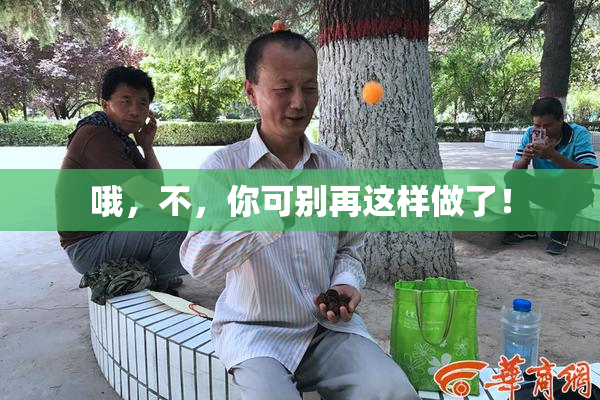 哦，不，你可别再这样做了！