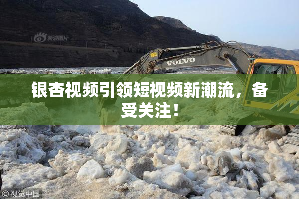 银杏视频引领短视频新潮流，备受关注！
