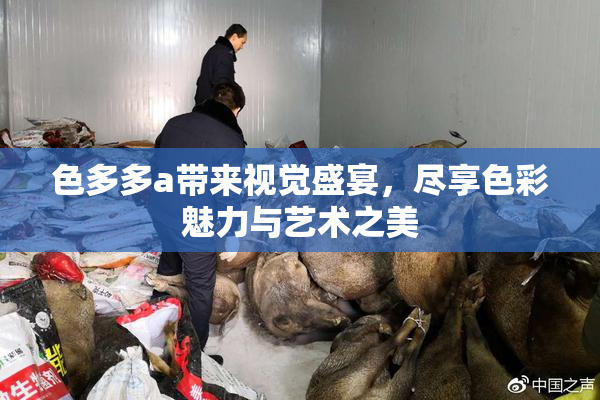 色多多a带来视觉盛宴，尽享色彩魅力与艺术之美
