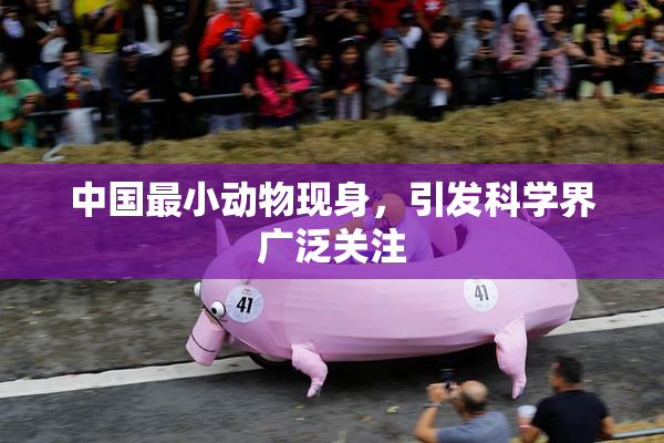 中国最小动物现身，引发科学界广泛关注