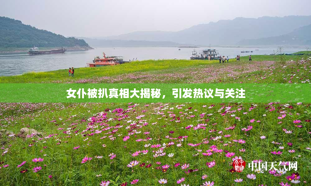 女仆被扒真相大揭秘，引发热议与关注