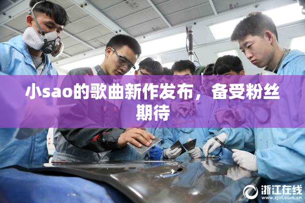 小sao的歌曲新作发布，备受粉丝期待