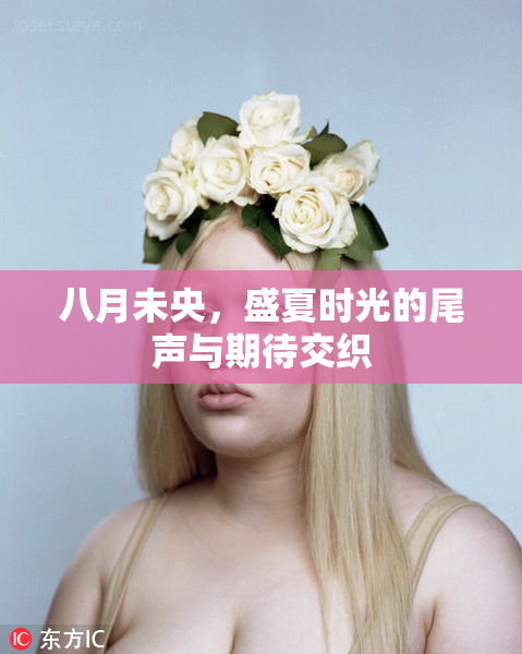 八月未央，盛夏时光的尾声与期待交织