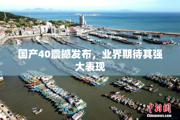国产40震撼发布，业界期待其强大表现