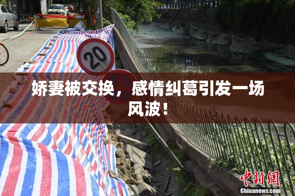 娇妻被交换，感情纠葛引发一场风波！