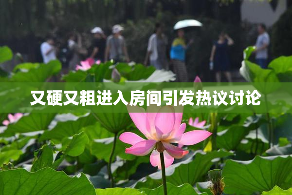 又硬又粗进入房间引发热议讨论