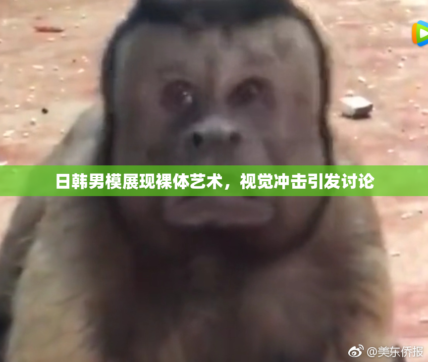 日韩男模展现裸体艺术，视觉冲击引发讨论