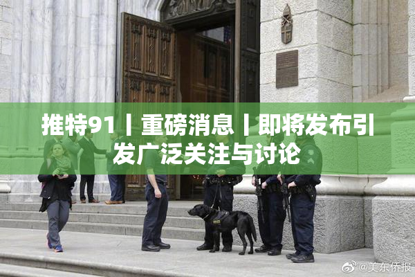 推特91丨重磅消息丨即将发布引发广泛关注与讨论
