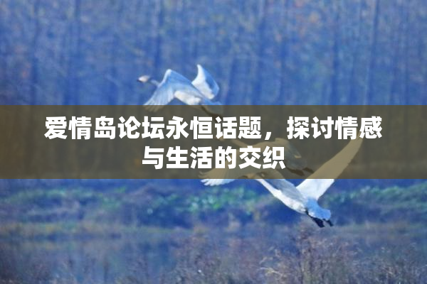 爱情岛论坛永恒话题，探讨情感与生活的交织