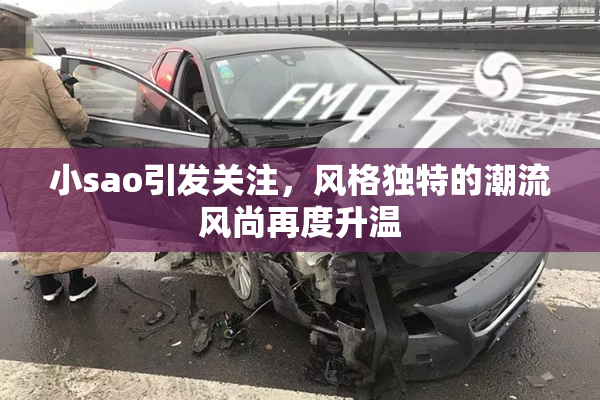 小sao引发关注，风格独特的潮流风尚再度升温