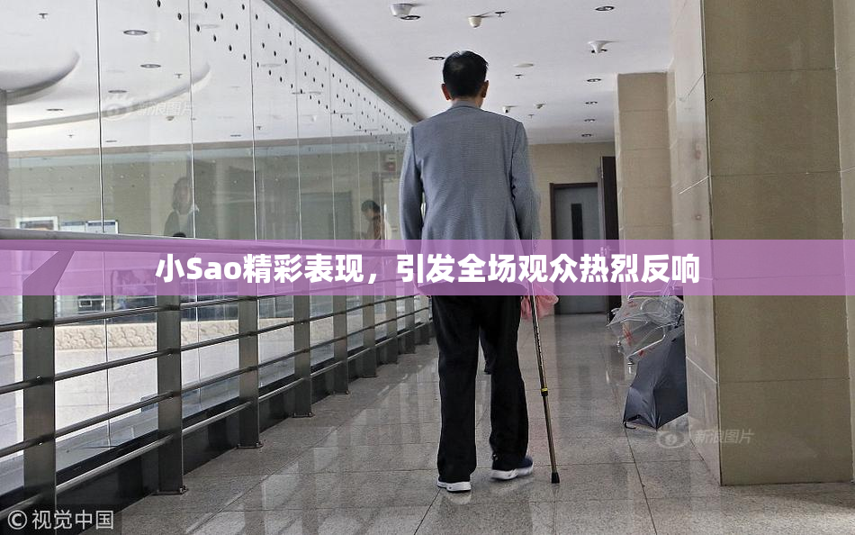 小Sao精彩表现，引发全场观众热烈反响