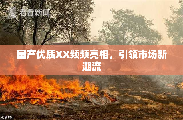 国产优质XX频频亮相，引领市场新潮流