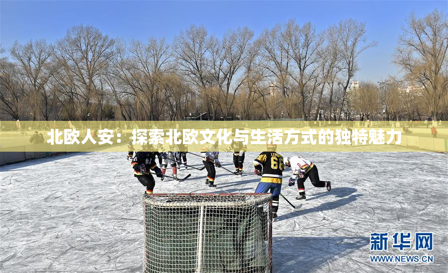 北欧人安：探索北欧文化与生活方式的独特魅力