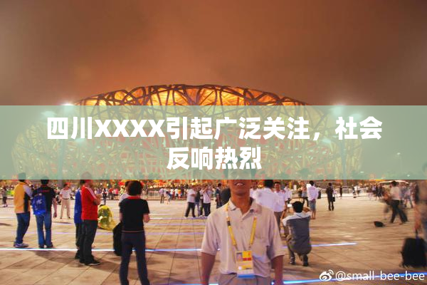 四川XXXX引起广泛关注，社会反响热烈