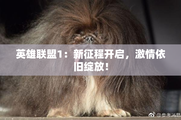 英雄联盟1：新征程开启，激情依旧绽放！