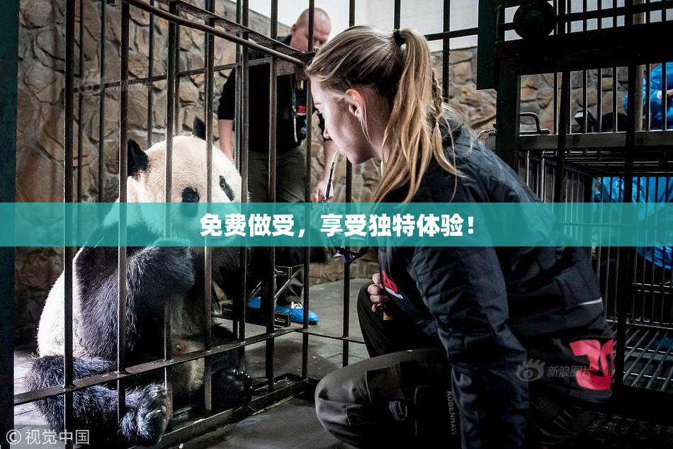 免费做受，享受独特体验！