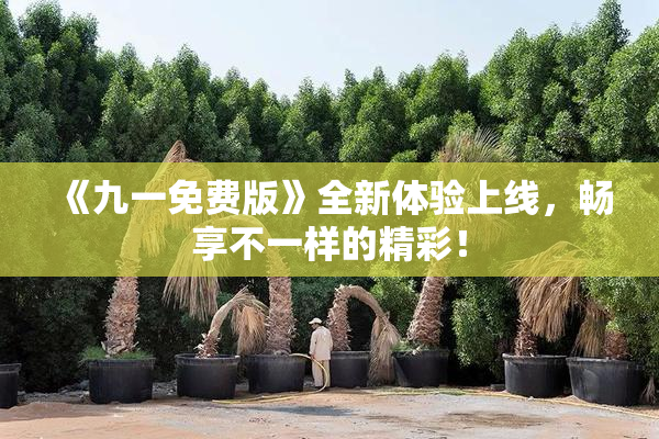 《九一免费版》全新体验上线，畅享不一样的精彩！