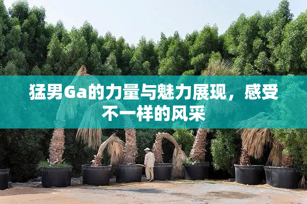 猛男Ga的力量与魅力展现，感受不一样的风采