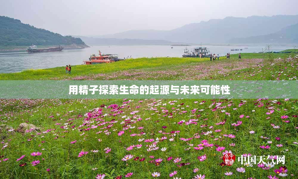 用精子探索生命的起源与未来可能性