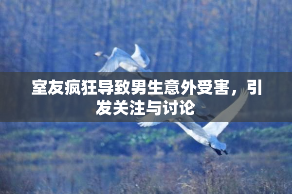 室友疯狂导致男生意外受害，引发关注与讨论